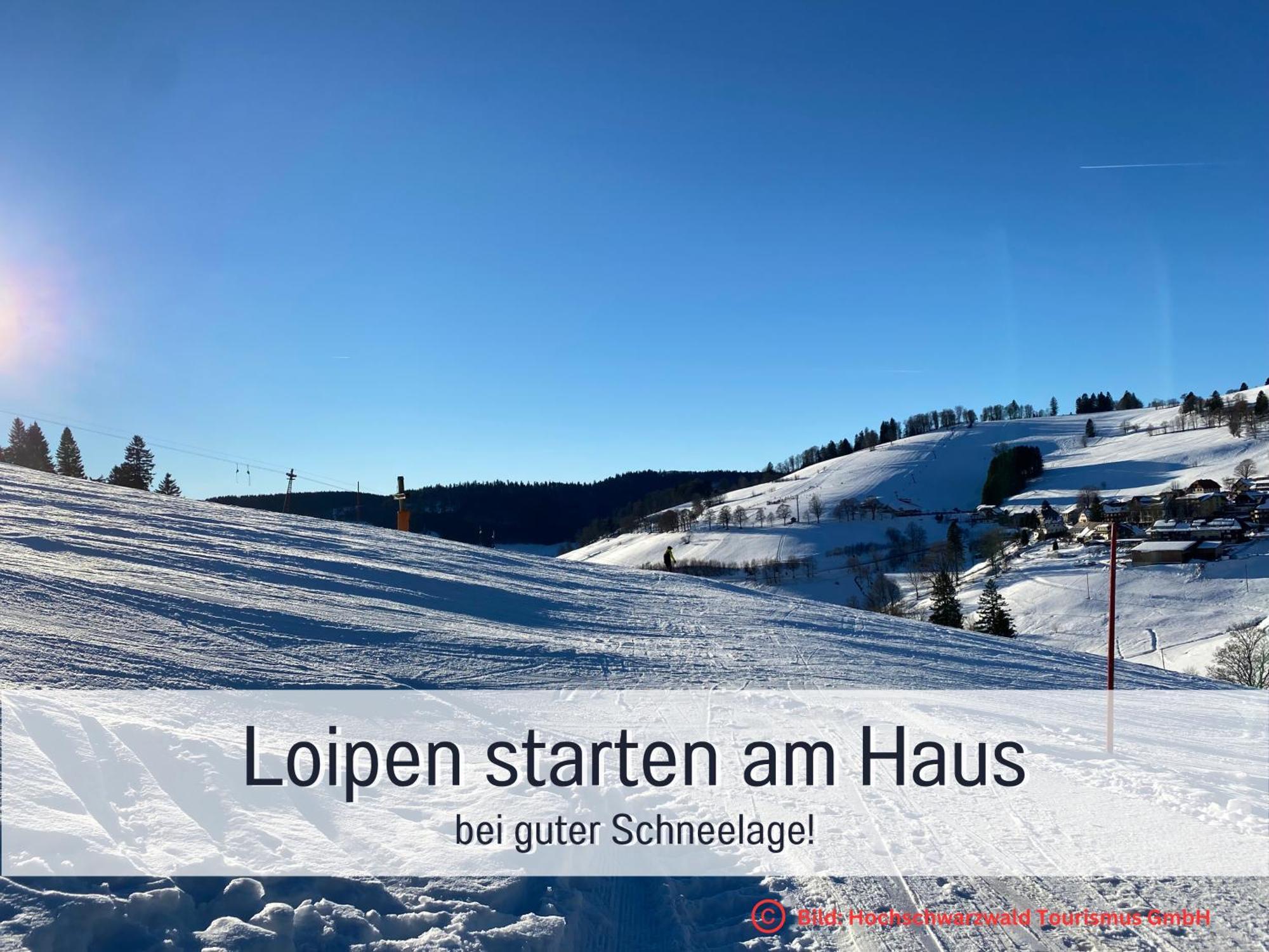 Herzgruen Direkt An Traumhaften Wanderwegen Balkon Mit Toller Aussicht Sauna Im Haus Tiefgarage E-Ladestation Todtnauberg Buitenkant foto