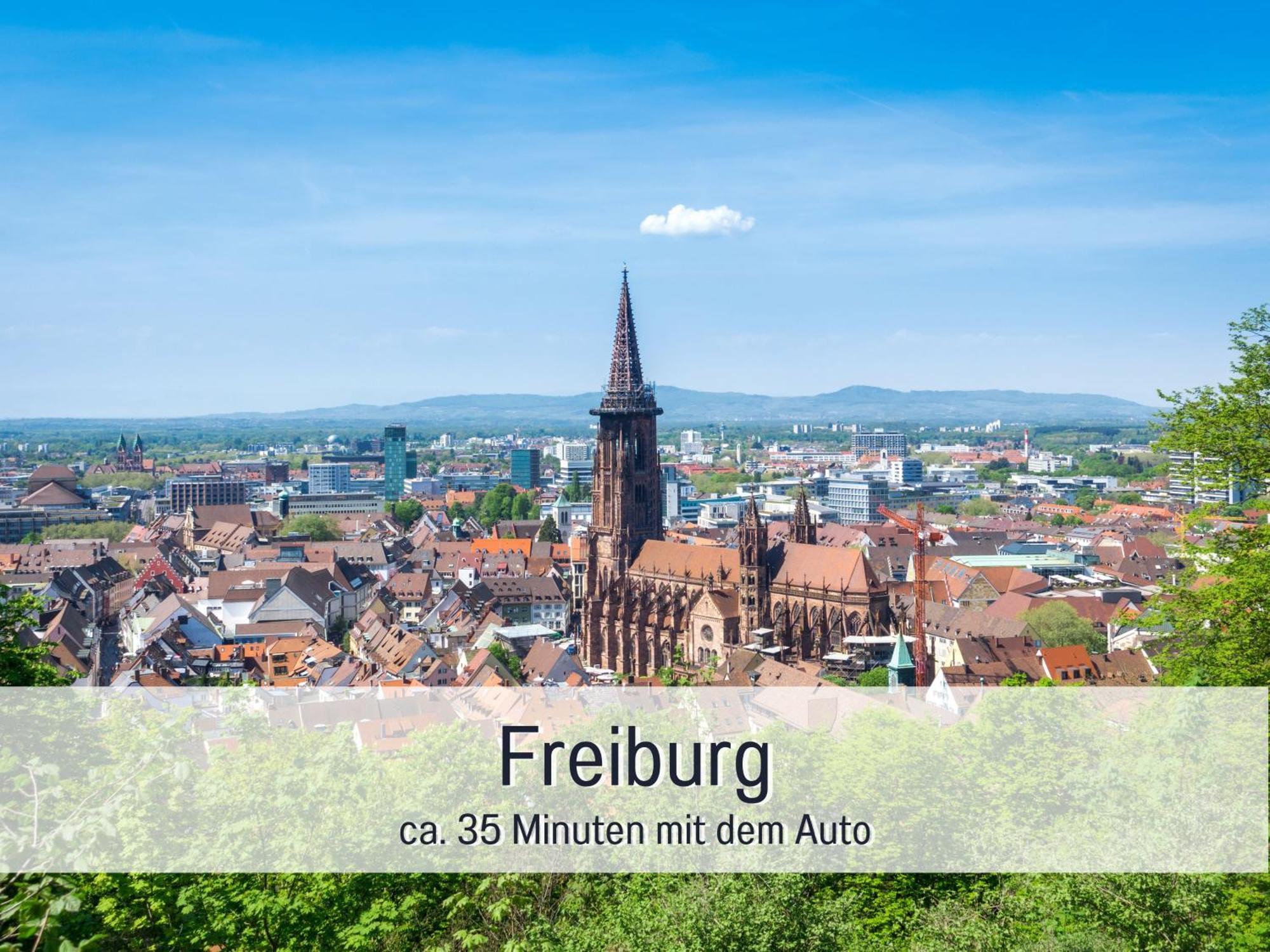 Herzgruen Direkt An Traumhaften Wanderwegen Balkon Mit Toller Aussicht Sauna Im Haus Tiefgarage E-Ladestation Todtnauberg Buitenkant foto
