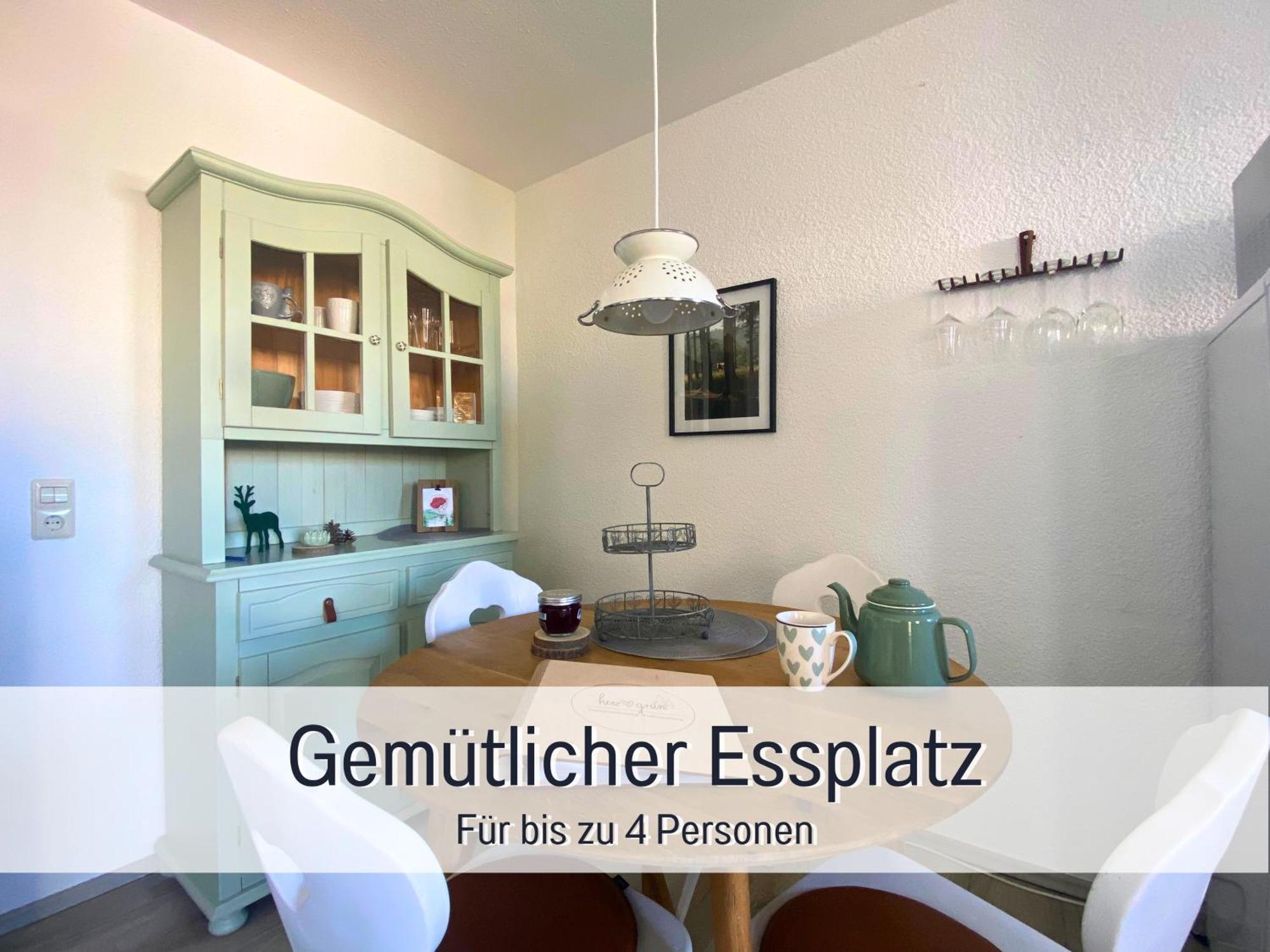 Herzgruen Direkt An Traumhaften Wanderwegen Balkon Mit Toller Aussicht Sauna Im Haus Tiefgarage E-Ladestation Todtnauberg Buitenkant foto