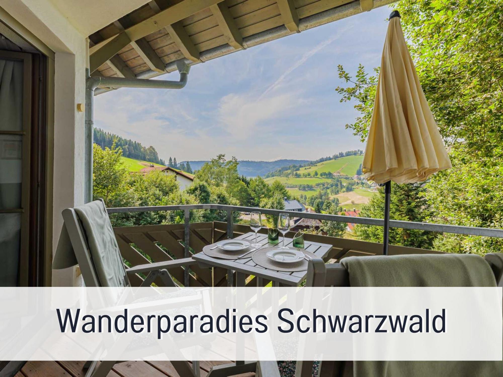 Herzgruen Direkt An Traumhaften Wanderwegen Balkon Mit Toller Aussicht Sauna Im Haus Tiefgarage E-Ladestation Todtnauberg Buitenkant foto